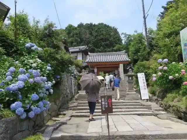 矢田寺(奈良県)