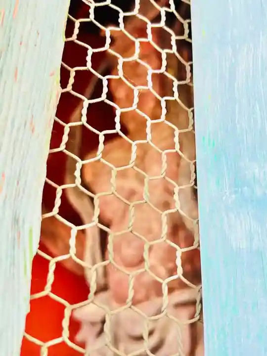 光明寺の{uncategorized: "未分類", other: "その他", undefined: "問題あり", building: "その他建物", grave: "お墓", sacred_gate: "鳥居", guardian: "狛犬", statue: "像", buddha: "仏像", history: "歴史", nature: "自然", garden: "庭園", animal: "動物", pagoda: "塔", temizu: "手水舎", mountain_gate: "山門・神門", sanctuary: "本殿・本堂", subordinate: "末社・摂社", art: "芸術", scenery: "景色", jizo: "地蔵", ema: "絵馬", goshuin: "御朱印", omikuji: "おみくじ", items: "授与品その他", amulet: "お守り", goshuincho: "御朱印帳", eats: "食事", festival: "お祭り", votive_dance: "神楽", shichigosan: "七五三参", wedding: "結婚式", experience: "体験その他", initially: "初詣", around: "周辺", anti_infection: "感染症対策"}