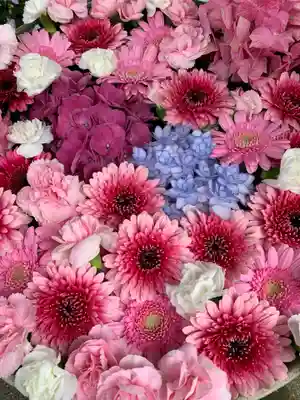 彌都加伎神社の手水舎