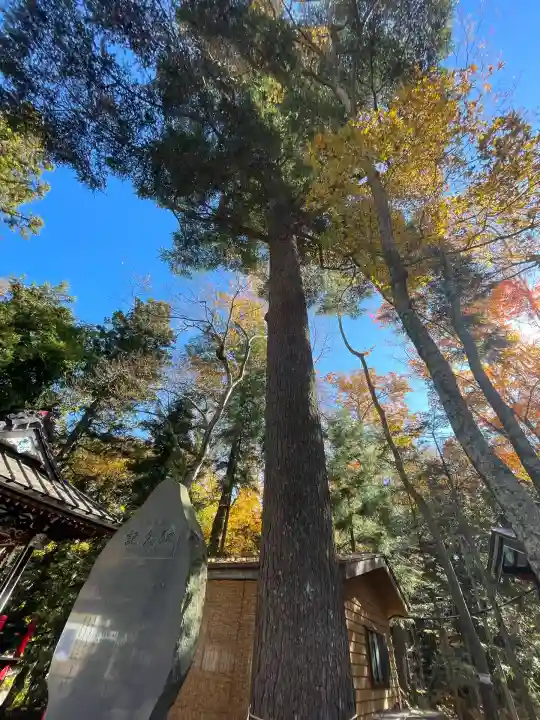新屋山神社(山梨県)