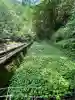 浄蓮の滝不動尊(静岡県)