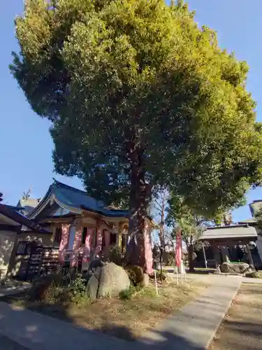 若宮神社(東京都)