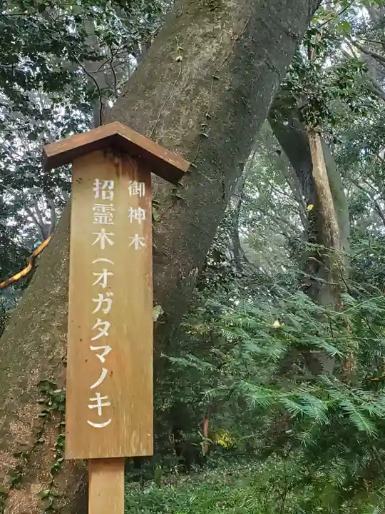 山中八幡宮の自然