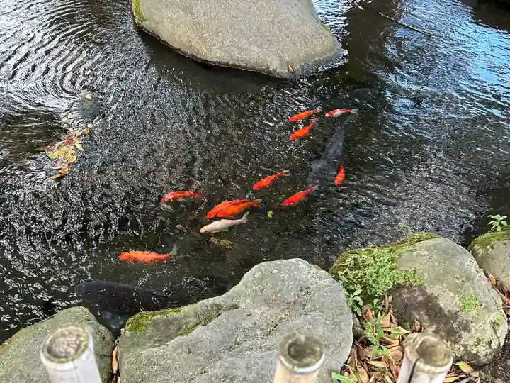 白鳥神社(長野県)