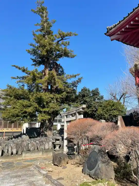 浄運寺の{uncategorized: "未分類", other: "その他", undefined: "問題あり", building: "その他建物", grave: "お墓", sacred_gate: "鳥居", guardian: "狛犬", statue: "像", buddha: "仏像", history: "歴史", nature: "自然", garden: "庭園", animal: "動物", pagoda: "塔", temizu: "手水舎", mountain_gate: "山門・神門", sanctuary: "本殿・本堂", subordinate: "末社・摂社", art: "芸術", scenery: "景色", jizo: "地蔵", ema: "絵馬", goshuin: "御朱印", omikuji: "おみくじ", items: "授与品その他", amulet: "お守り", goshuincho: "御朱印帳", eats: "食事", festival: "お祭り", votive_dance: "神楽", shichigosan: "七五三参", wedding: "結婚式", experience: "体験その他", initially: "初詣", around: "周辺", anti_infection: "感染症対策"}