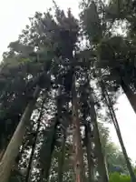 大宮温泉神社(栃木県)