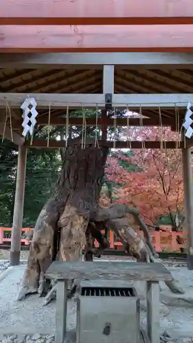 伏見稲荷大社(京都府)