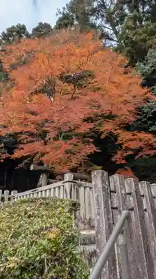 高倉天皇皇后 大原西陵(京都府)