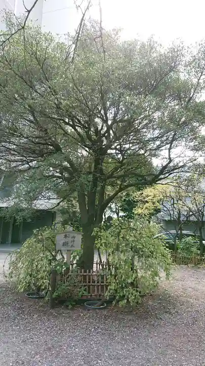 牛天神北野神社の自然