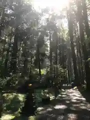 御岩神社の自然