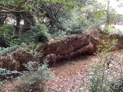 天道宮神明社（前原）(愛知県)