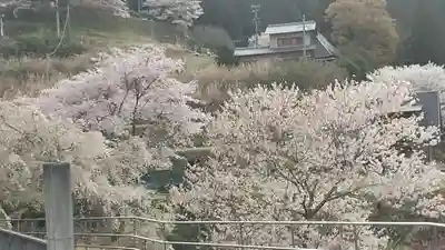 地蔵院 (室生寺塔頭)の自然