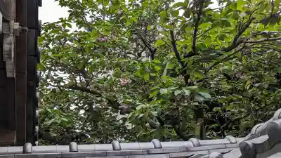 宝蔵寺(京都府)