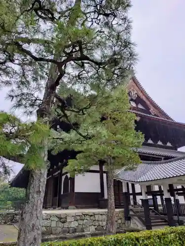 相国寺（相国承天禅寺）(京都府)
