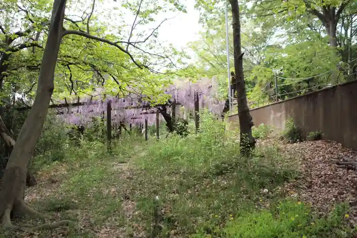 高山神社の自然