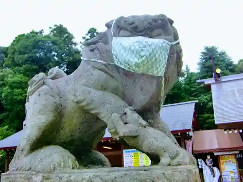 乃木神社の狛犬