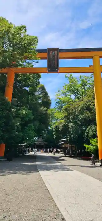 川越氷川神社(埼玉県)