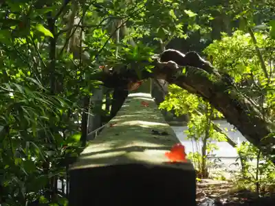 報徳二宮神社のその他建物