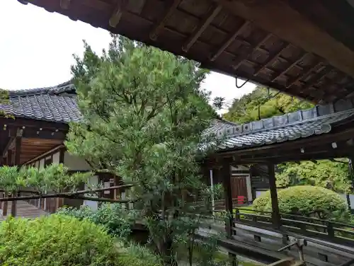 毘沙門堂門跡(京都府)