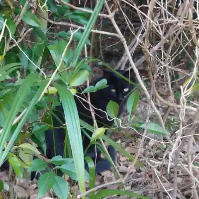 興聖寺(栃木県)