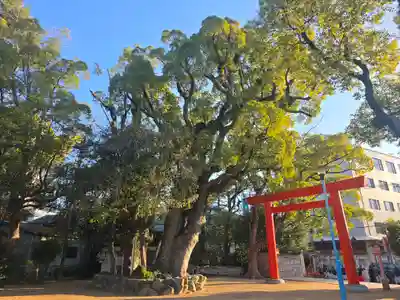 長田神社(兵庫県)