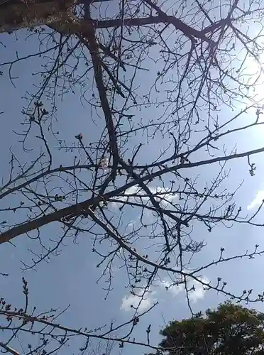 比佐豆知神社(三重県)