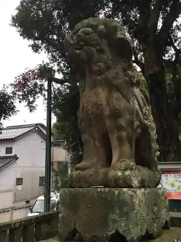 美保神社の狛犬