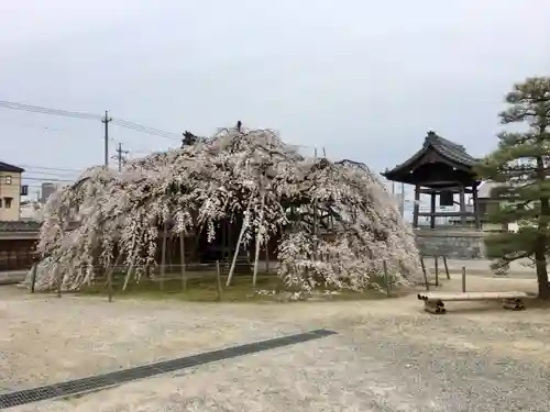 専修坊の自然