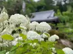 龍光院の自然