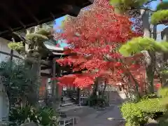 養玉院如来寺の建物その他