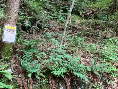羽黒山湯上神社(福島県)