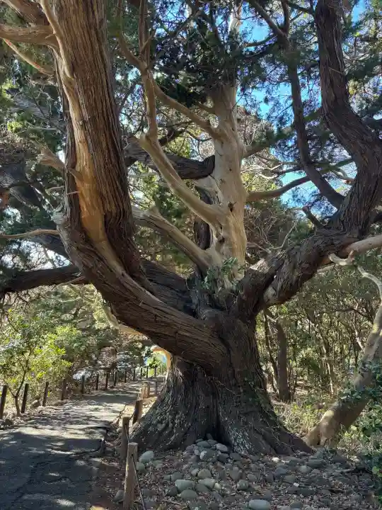 大瀬神社の{uncategorized: "未分類", other: "その他", undefined: "問題あり", building: "その他建物", grave: "お墓", sacred_gate: "鳥居", guardian: "狛犬", statue: "像", buddha: "仏像", history: "歴史", nature: "自然", garden: "庭園", animal: "動物", pagoda: "塔", temizu: "手水舎", mountain_gate: "山門・神門", sanctuary: "本殿・本堂", subordinate: "末社・摂社", art: "芸術", scenery: "景色", jizo: "地蔵", ema: "絵馬", goshuin: "御朱印", omikuji: "おみくじ", items: "授与品その他", amulet: "お守り", goshuincho: "御朱印帳", eats: "食事", festival: "お祭り", votive_dance: "神楽", shichigosan: "七五三参", wedding: "結婚式", experience: "体験その他", initially: "初詣", around: "周辺", anti_infection: "感染症対策"}