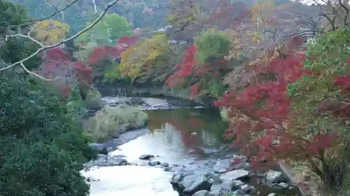 光明寺瑠璃光院の周辺