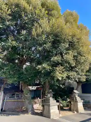 本一色天祖神社の{uncategorized: "未分類", other: "その他", undefined: "問題あり", building: "その他建物", grave: "お墓", sacred_gate: "鳥居", guardian: "狛犬", statue: "像", buddha: "仏像", history: "歴史", nature: "自然", garden: "庭園", animal: "動物", pagoda: "塔", temizu: "手水舎", mountain_gate: "山門・神門", sanctuary: "本殿・本堂", subordinate: "末社・摂社", art: "芸術", scenery: "景色", jizo: "地蔵", ema: "絵馬", goshuin: "御朱印", omikuji: "おみくじ", items: "授与品その他", amulet: "お守り", goshuincho: "御朱印帳", eats: "食事", festival: "お祭り", votive_dance: "神楽", shichigosan: "七五三参", wedding: "結婚式", experience: "体験その他", initially: "初詣", around: "周辺", anti_infection: "感染症対策"}