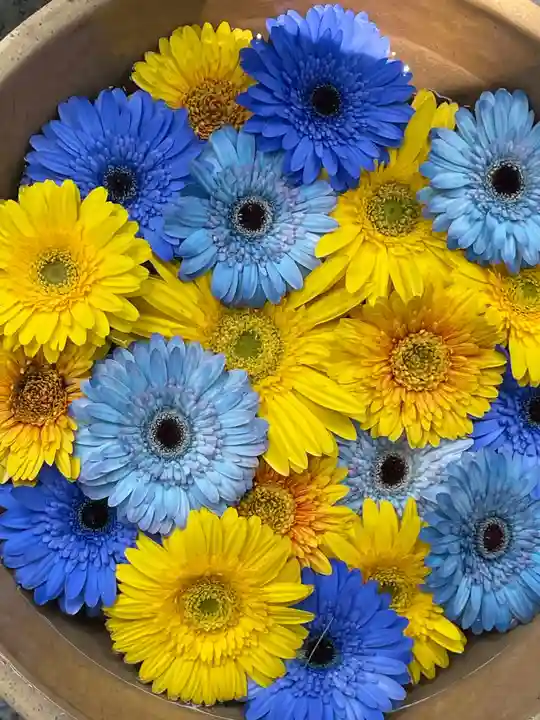 彌都加伎神社の手水舎