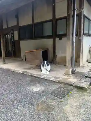 甘南美寺(岐阜県)