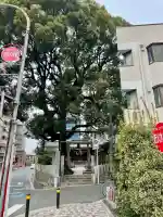 八幡神社の{uncategorized: "未分類", other: "その他", undefined: "問題あり", building: "その他建物", grave: "お墓", sacred_gate: "鳥居", guardian: "狛犬", statue: "像", buddha: "仏像", history: "歴史", nature: "自然", garden: "庭園", animal: "動物", pagoda: "塔", temizu: "手水舎", mountain_gate: "山門・神門", sanctuary: "本殿・本堂", subordinate: "末社・摂社", art: "芸術", scenery: "景色", jizo: "地蔵", ema: "絵馬", goshuin: "御朱印", omikuji: "おみくじ", items: "授与品その他", amulet: "お守り", goshuincho: "御朱印帳", eats: "食事", festival: "お祭り", votive_dance: "神楽", shichigosan: "七五三参", wedding: "結婚式", experience: "体験その他", initially: "初詣", around: "周辺", anti_infection: "感染症対策"}