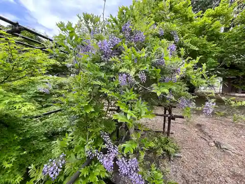 金剛寺(大阪府)