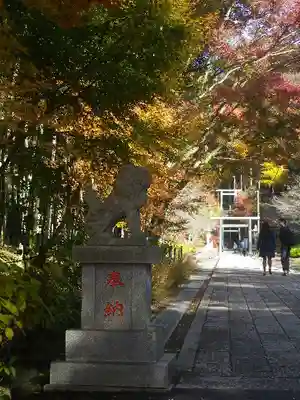 建長寺 半僧坊の狛犬