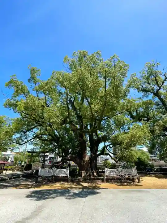 諫早神社(九州総守護 四面宮)(長崎県)