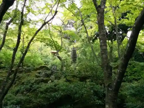 常寂光寺の庭園