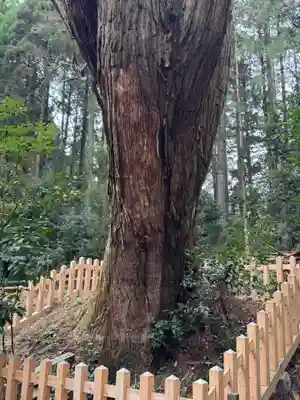 幣立神宮(熊本県)