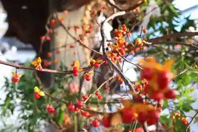 三津厳島神社(愛媛県)