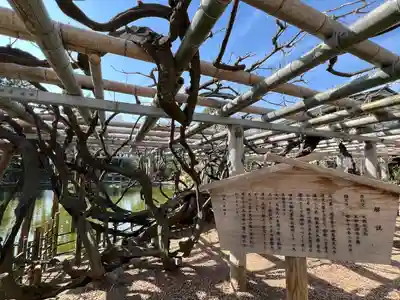 越ヶ谷久伊豆神社(埼玉県)