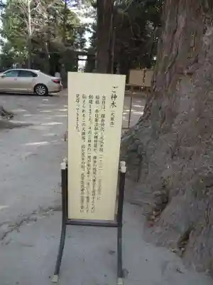 春日部八幡神社(埼玉県)