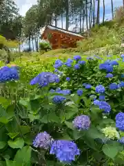 三室戸寺の自然