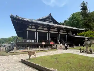 東大寺 法華堂（三月堂）の{uncategorized: "未分類", other: "その他", undefined: "問題あり", building: "その他建物", grave: "お墓", sacred_gate: "鳥居", guardian: "狛犬", statue: "像", buddha: "仏像", history: "歴史", nature: "自然", garden: "庭園", animal: "動物", pagoda: "塔", temizu: "手水舎", mountain_gate: "山門・神門", sanctuary: "本殿・本堂", subordinate: "末社・摂社", art: "芸術", scenery: "景色", jizo: "地蔵", ema: "絵馬", goshuin: "御朱印", omikuji: "おみくじ", items: "授与品その他", amulet: "お守り", goshuincho: "御朱印帳", eats: "食事", festival: "お祭り", votive_dance: "神楽", shichigosan: "七五三参", wedding: "結婚式", experience: "体験その他", initially: "初詣", around: "周辺", anti_infection: "感染症対策"}