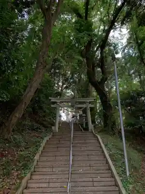 白幡神社の鳥居
