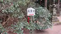 室生寺の建物その他