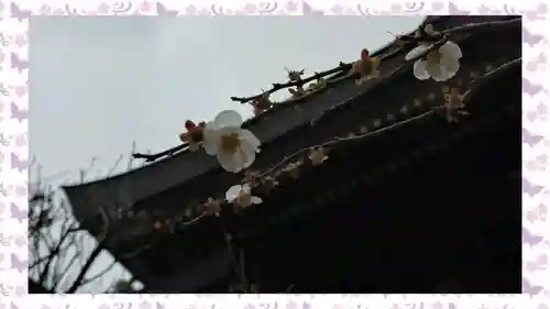 湯島天満宮(東京都)